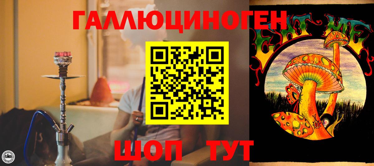 что такое наркотик  Галлюциногенные грибы прущие грибы  Вход с VPN  Первоуральск 